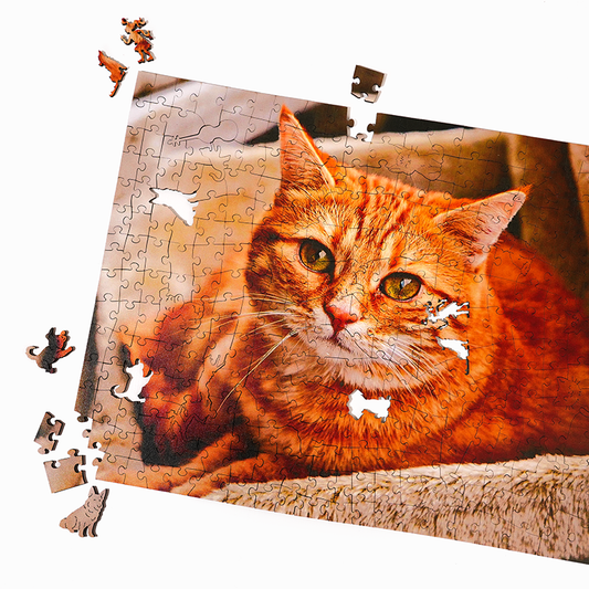 Personalized Cat Lover Photo Wooden Puzzles