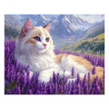 Ragdoll cat in lavender field - Wooden Jigsaw Puzzle