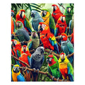 Tropical Parrots - Wooden Jigsaw Puzzle