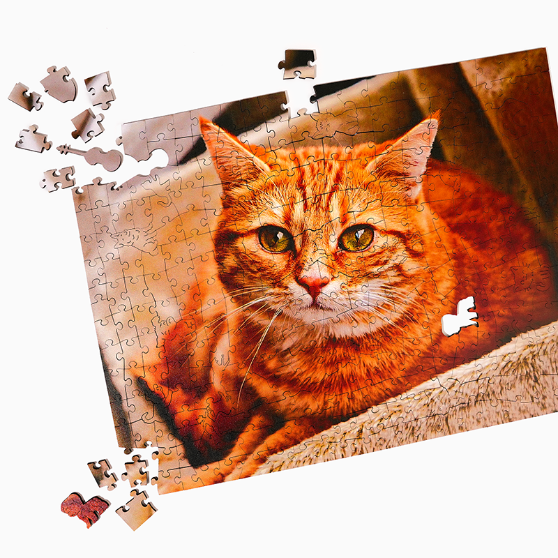 Personalized Cat Lover Photo Wooden Puzzles