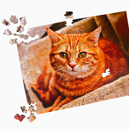 Personalized Cat Lover Photo Wooden Puzzles