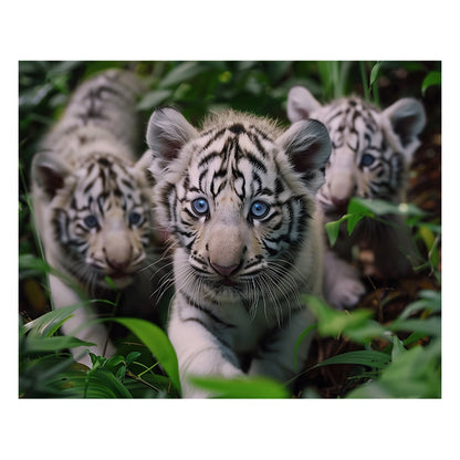 White Tiger Cubs - Wooden Jigsaw Puzzle