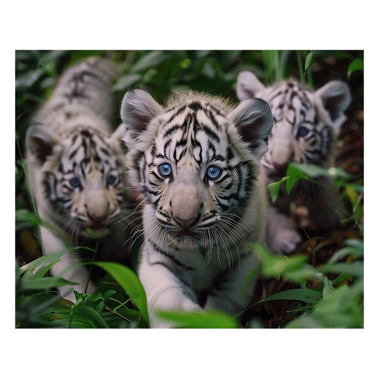 White Tiger Cubs - Wooden Jigsaw Puzzle
